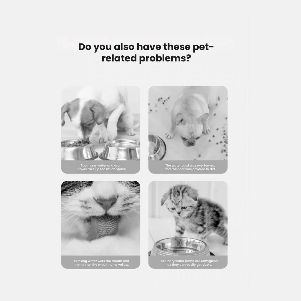 Hipidog feeding station comparison panel showing pet feeding scenes
