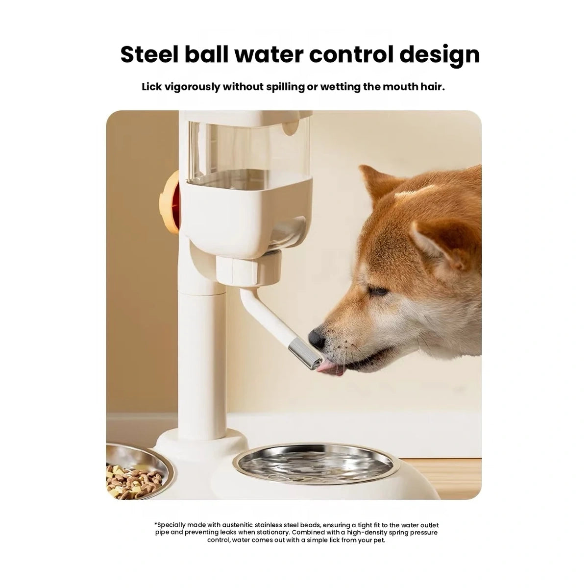 Dog using the Hipidog water bowl beside the food bowl