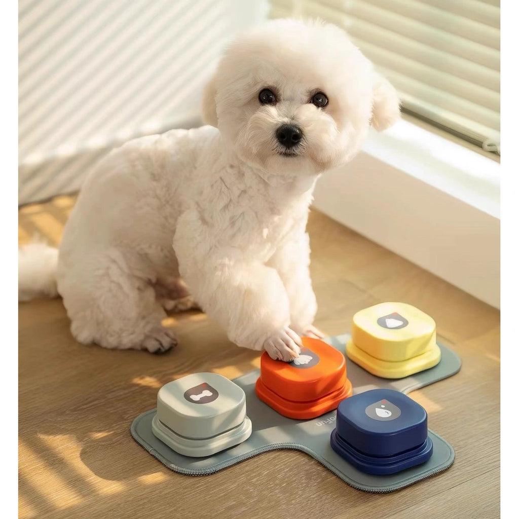Small dog sitting beside four MewooFun recordable buttons