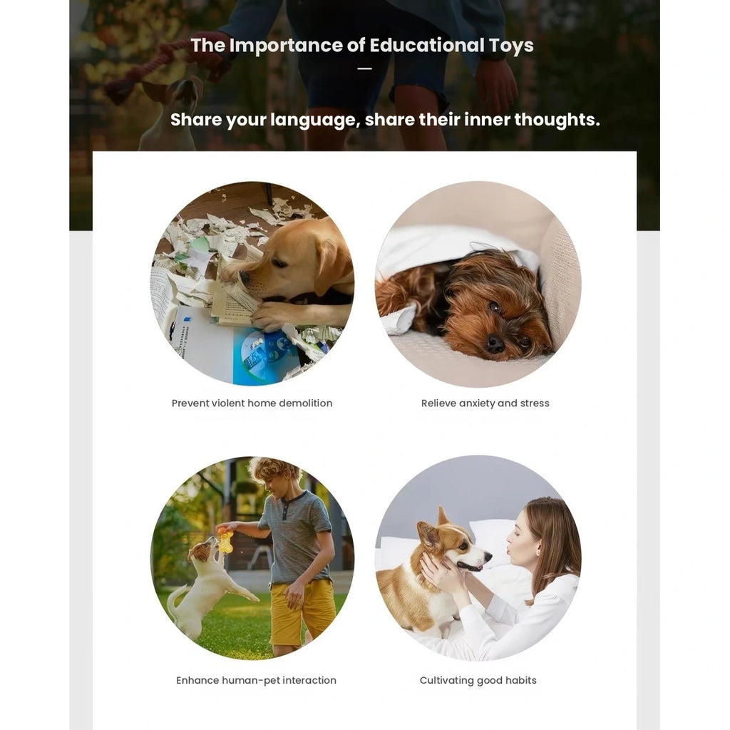 MewooFun product panel showing dog and button-use examples