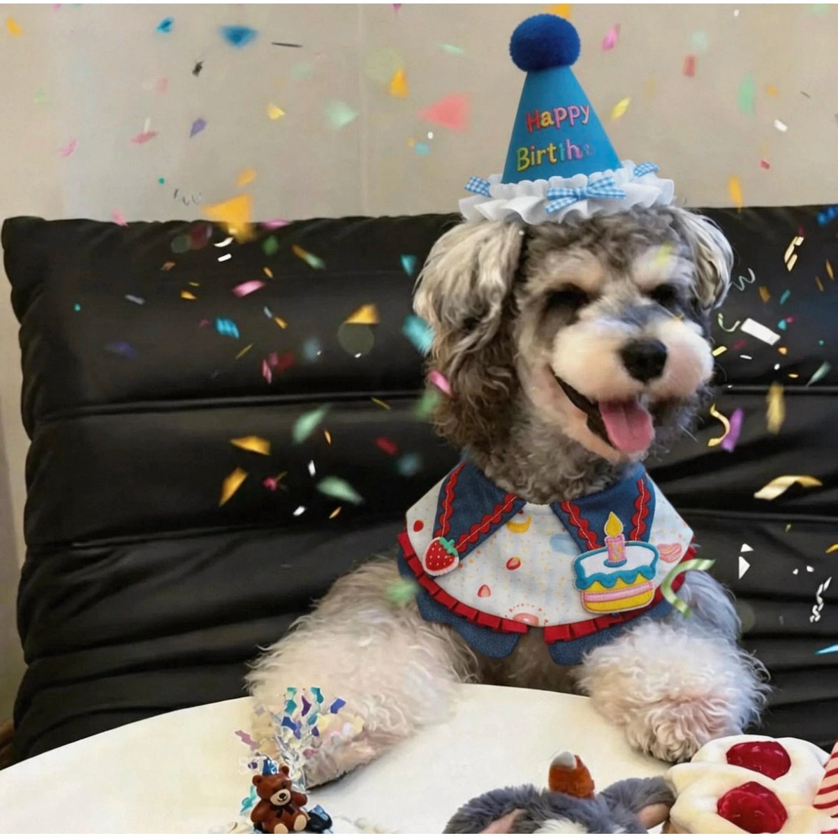 Dog wearing blue birthday hat and matching birthday bandana