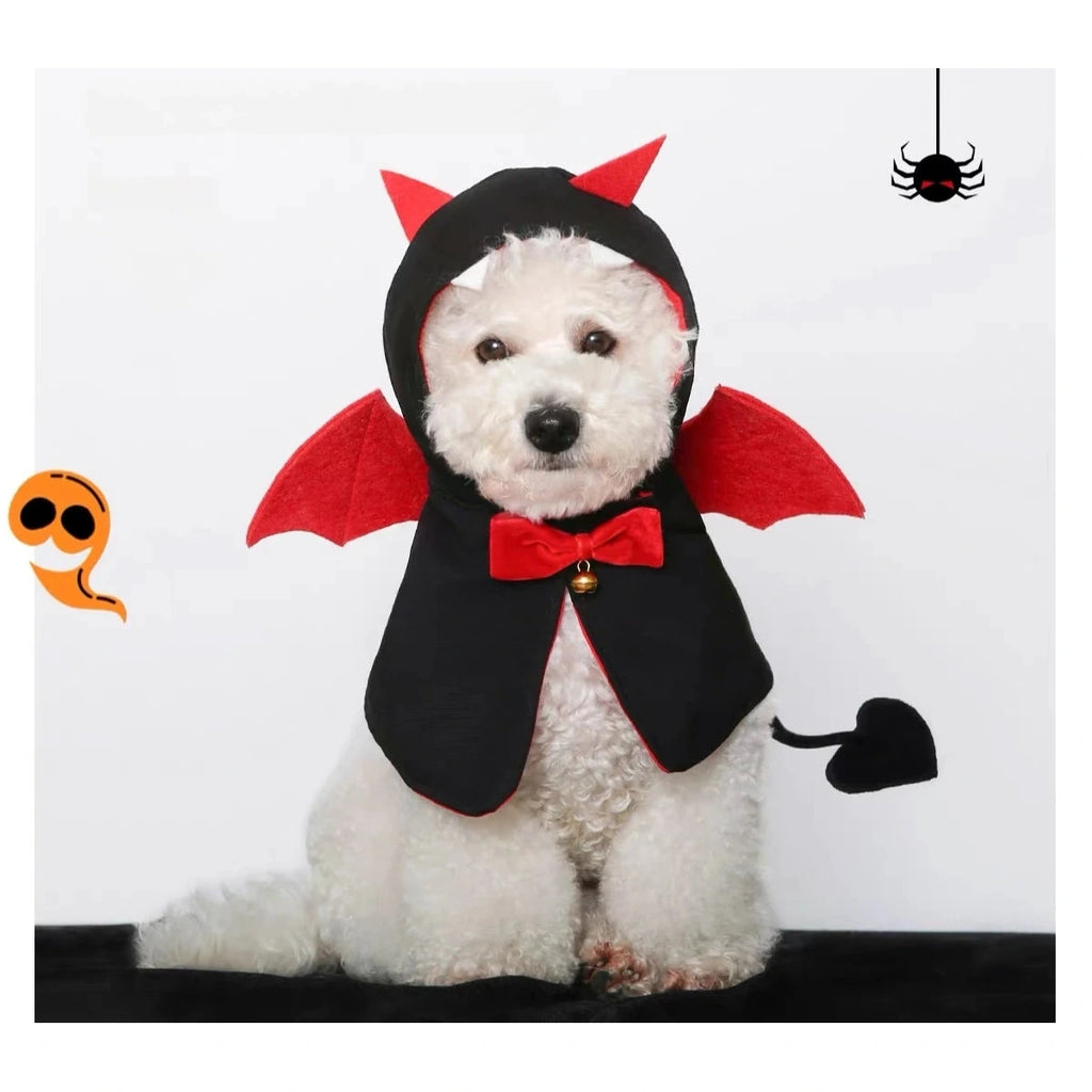 White dog wearing the black and red UFBemo devil cape
