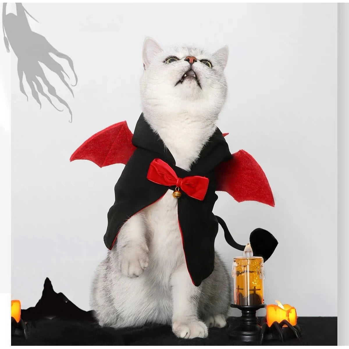 Cat wearing the black and red UFBemo devil cape