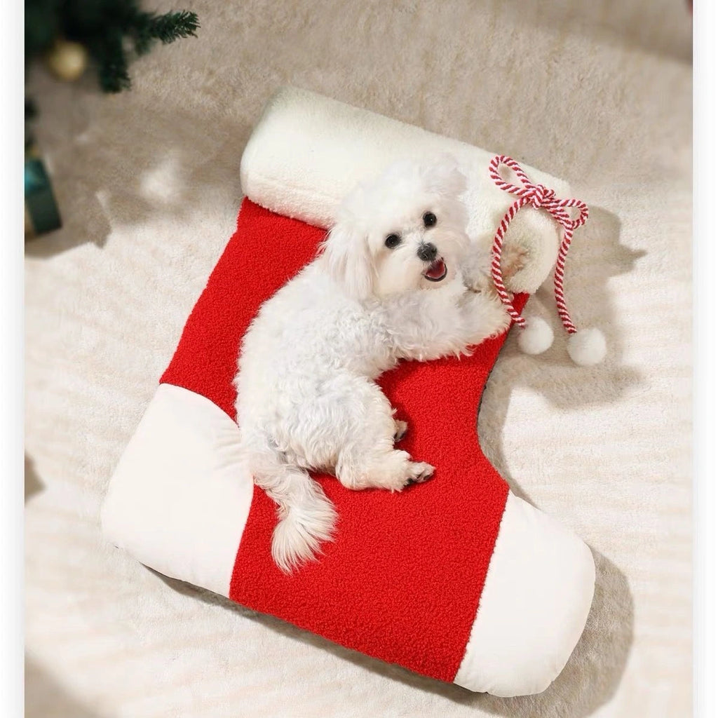 Small dog resting in the red stocking-shaped Christmas pet bed