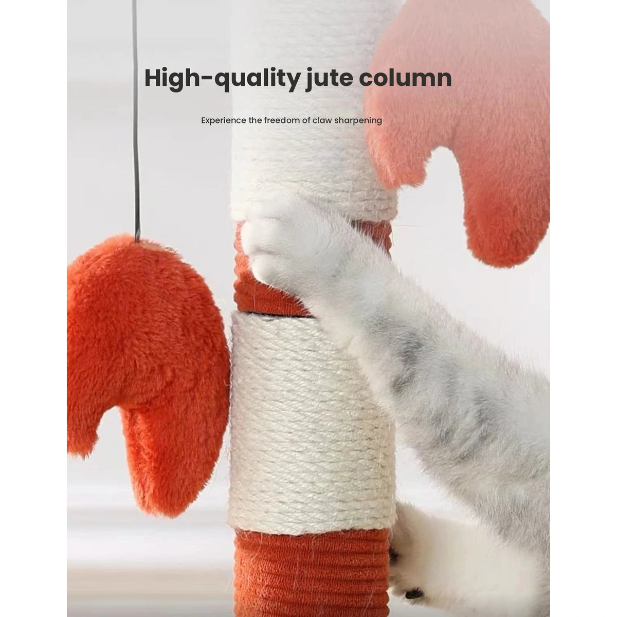 Cat scratching the rope-covered post below the lobster toy
