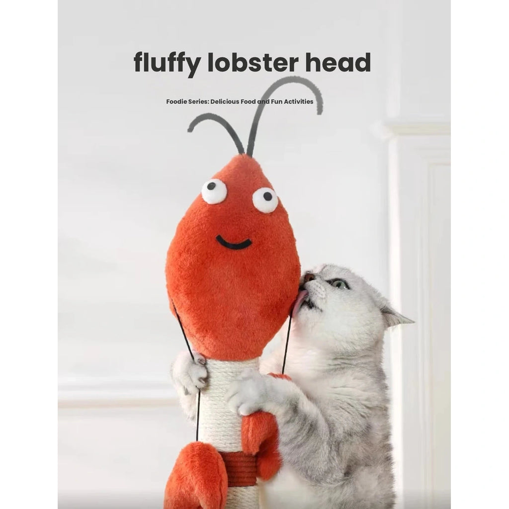 Cat looking up at the dangling lobster toy on the post