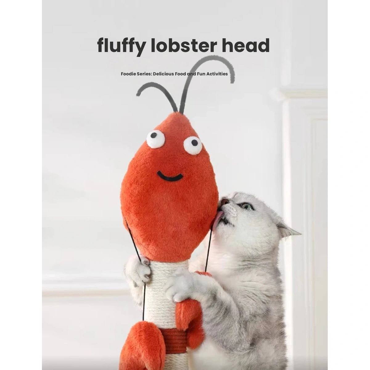 Cat looking up at the dangling lobster toy on the post