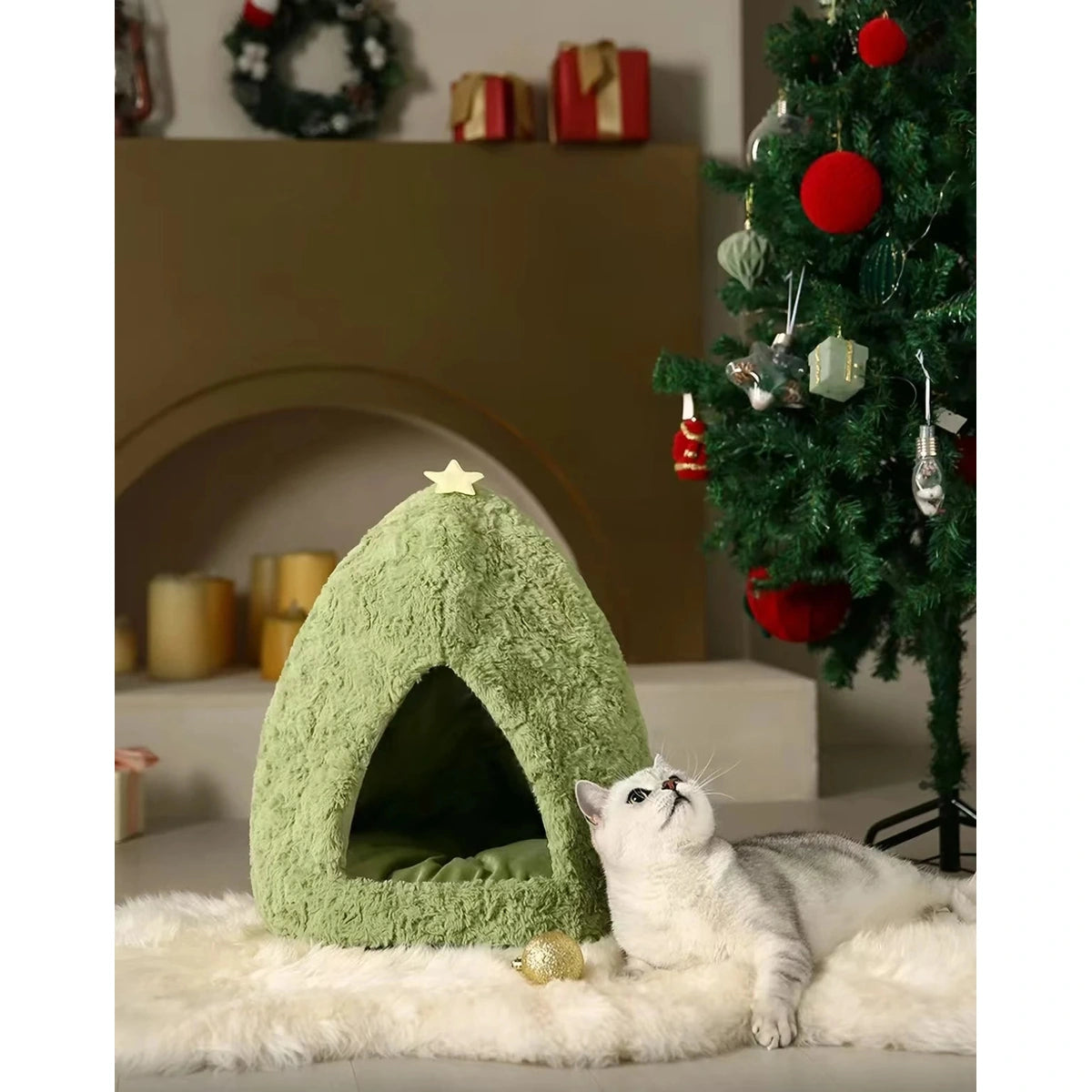 Cat beside the green UFBemo Christmas-tree pet house