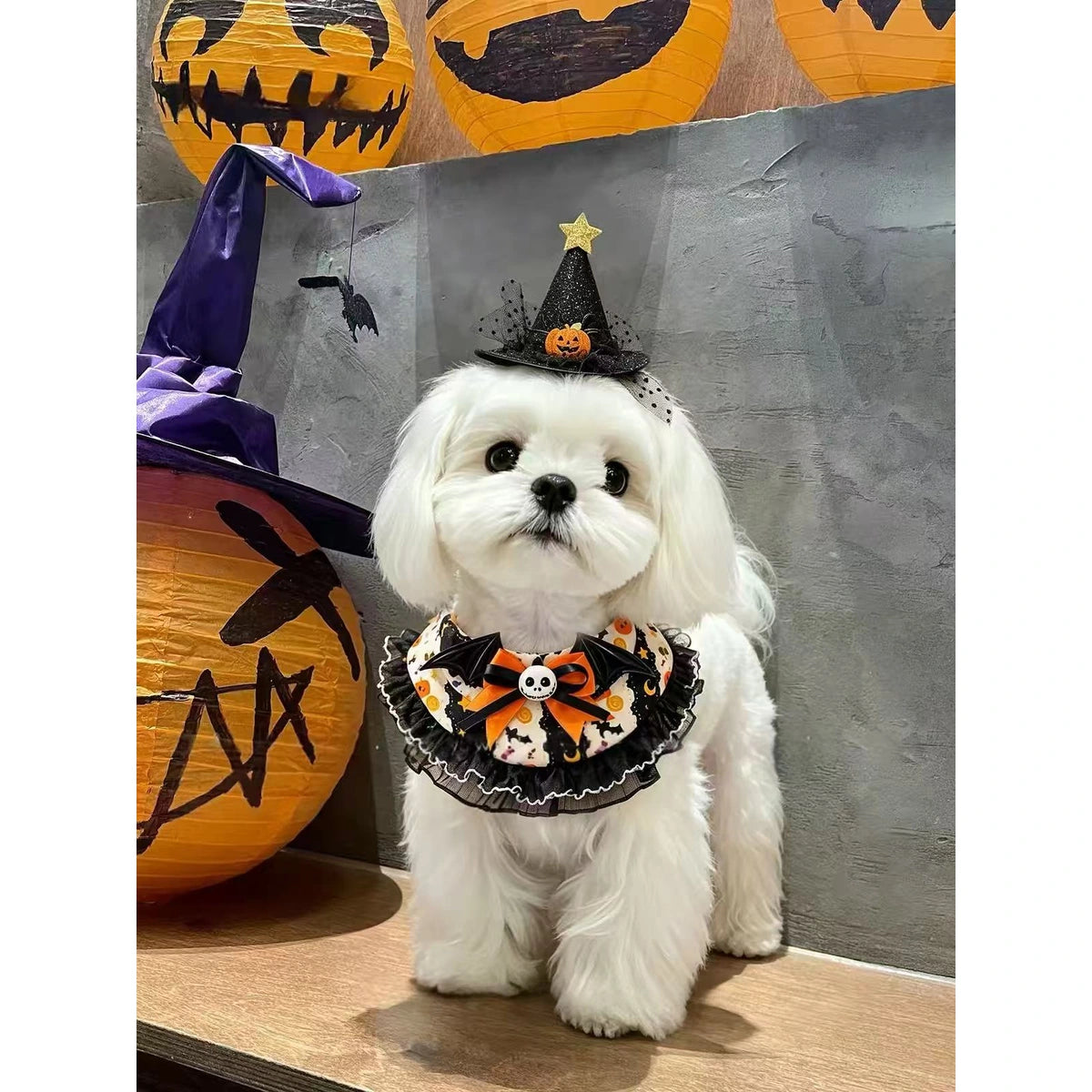 White dog wearing the Halloween pet bib costume