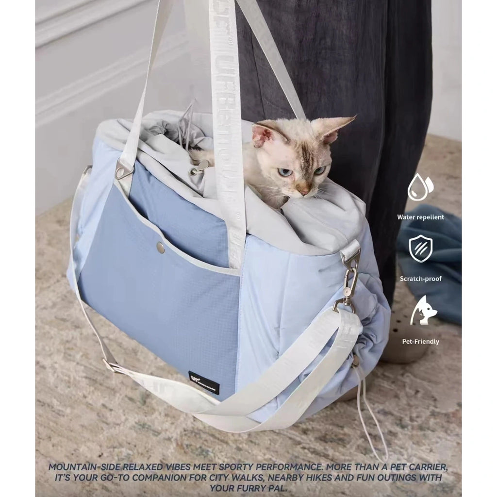 Cat sitting inside the blue UF pet carrier while it is carried