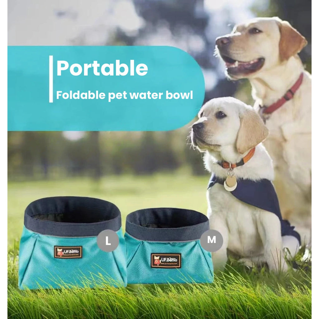 Two blue UFBemo travel bowls shown with a dog outdoors