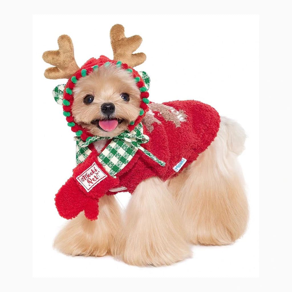 Small dog wearing Mookipet reindeer hat and scarf
