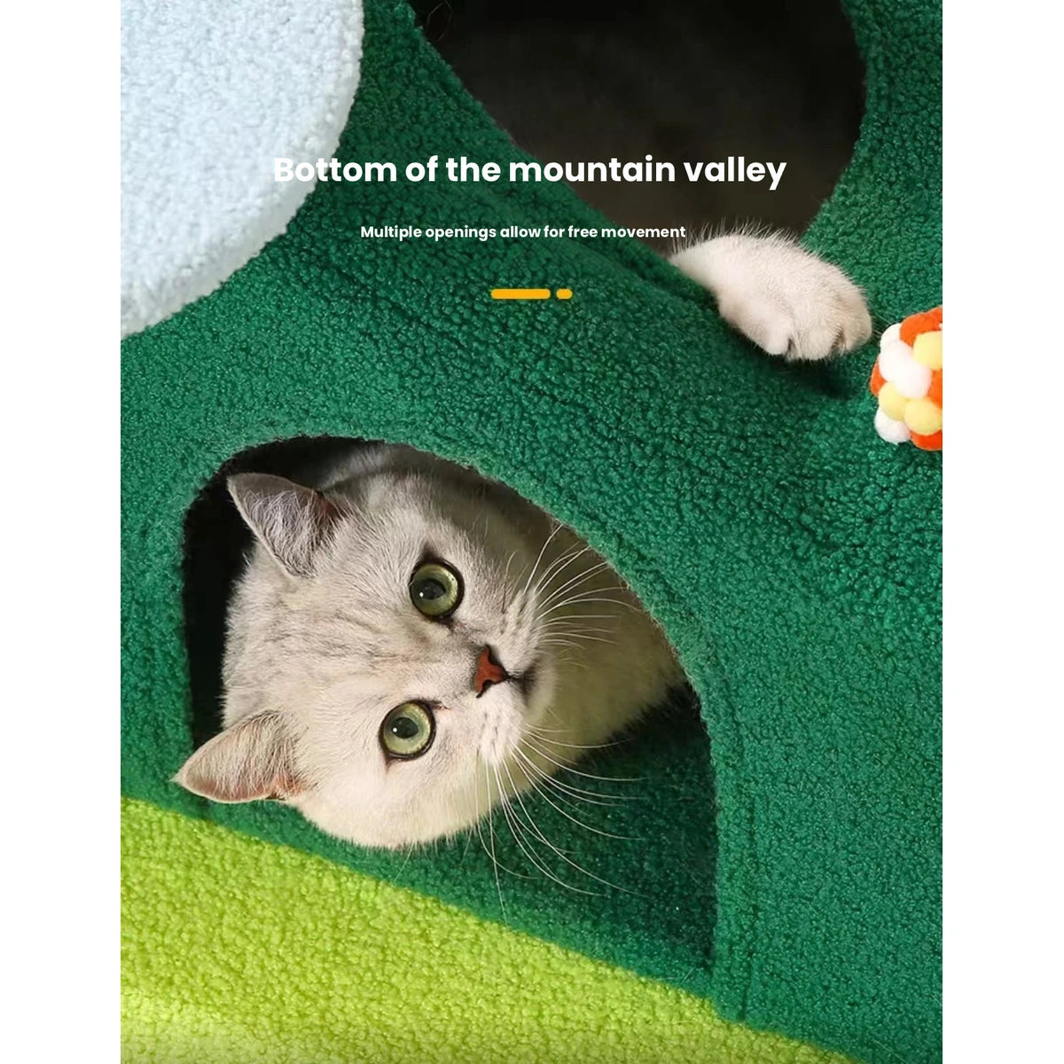 Cat looking from the enclosed base of the green cat tree