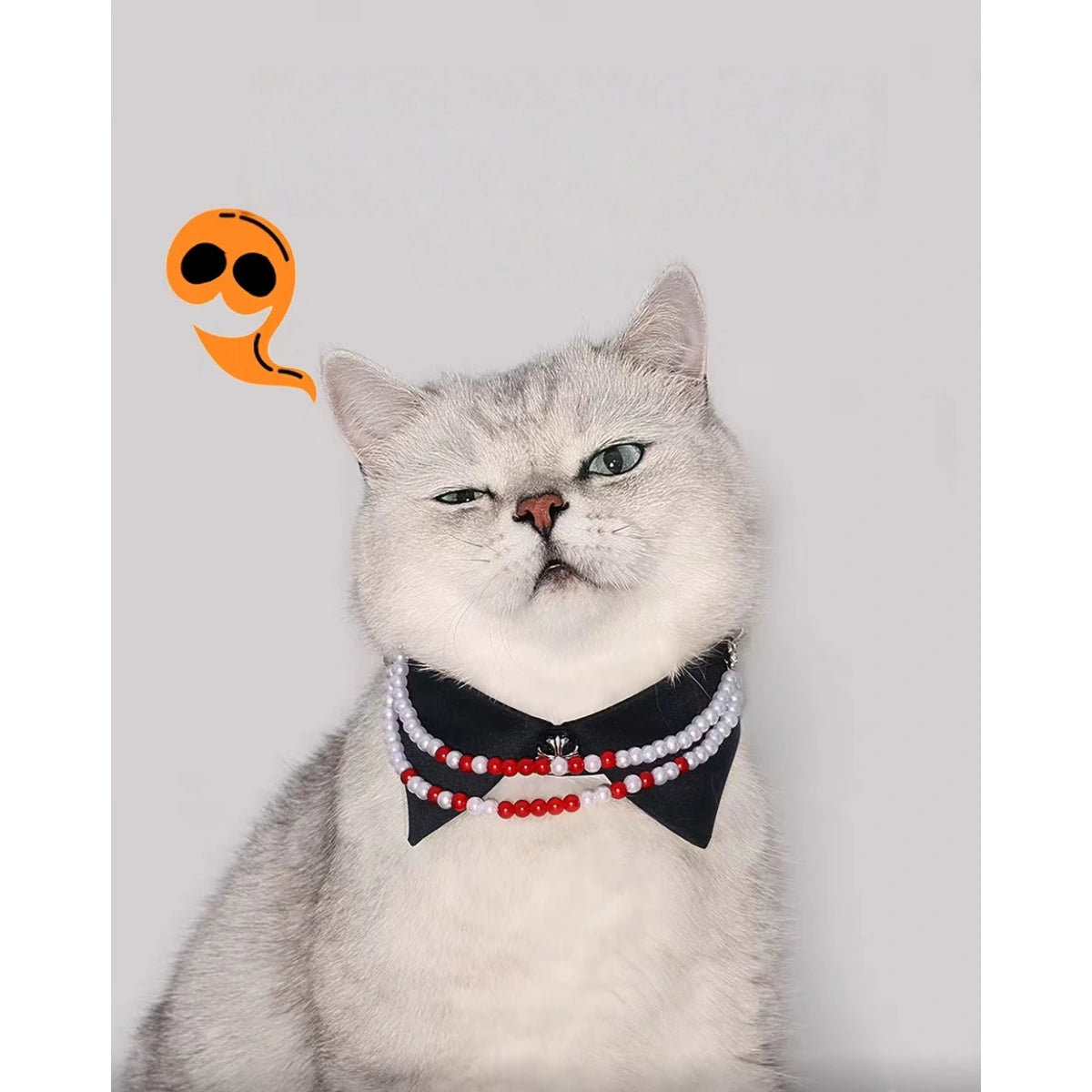 Grey cat wearing the UFBemo Halloween collar with ghost graphic