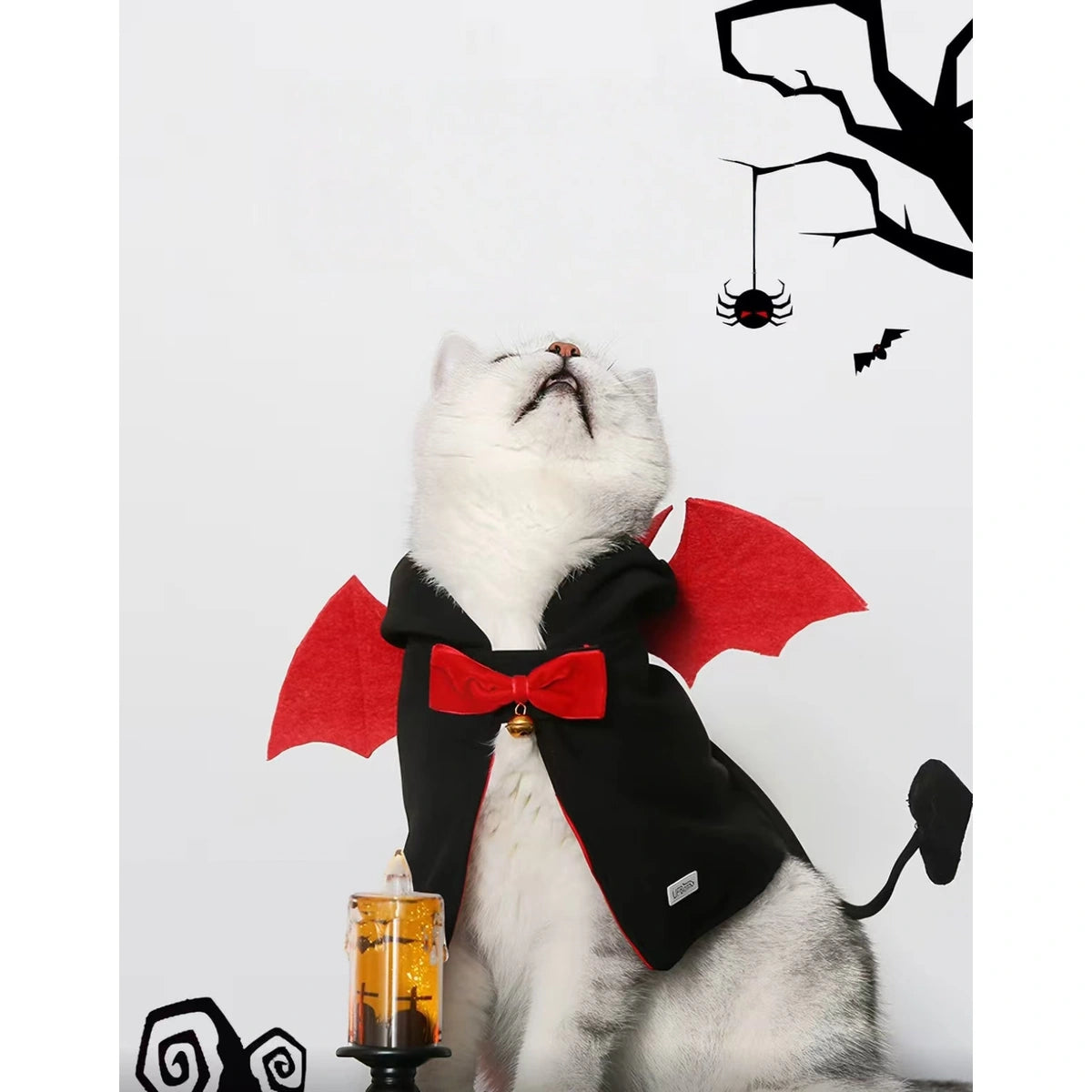 Cat wearing the devil cape beside Halloween decorations