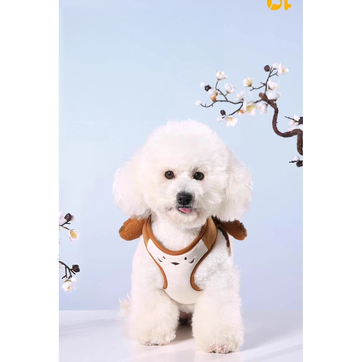 Small dog wearing the brown UFBemo harness vest