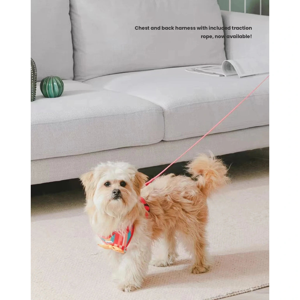 Small dog wearing the red patterned UFBemo harness