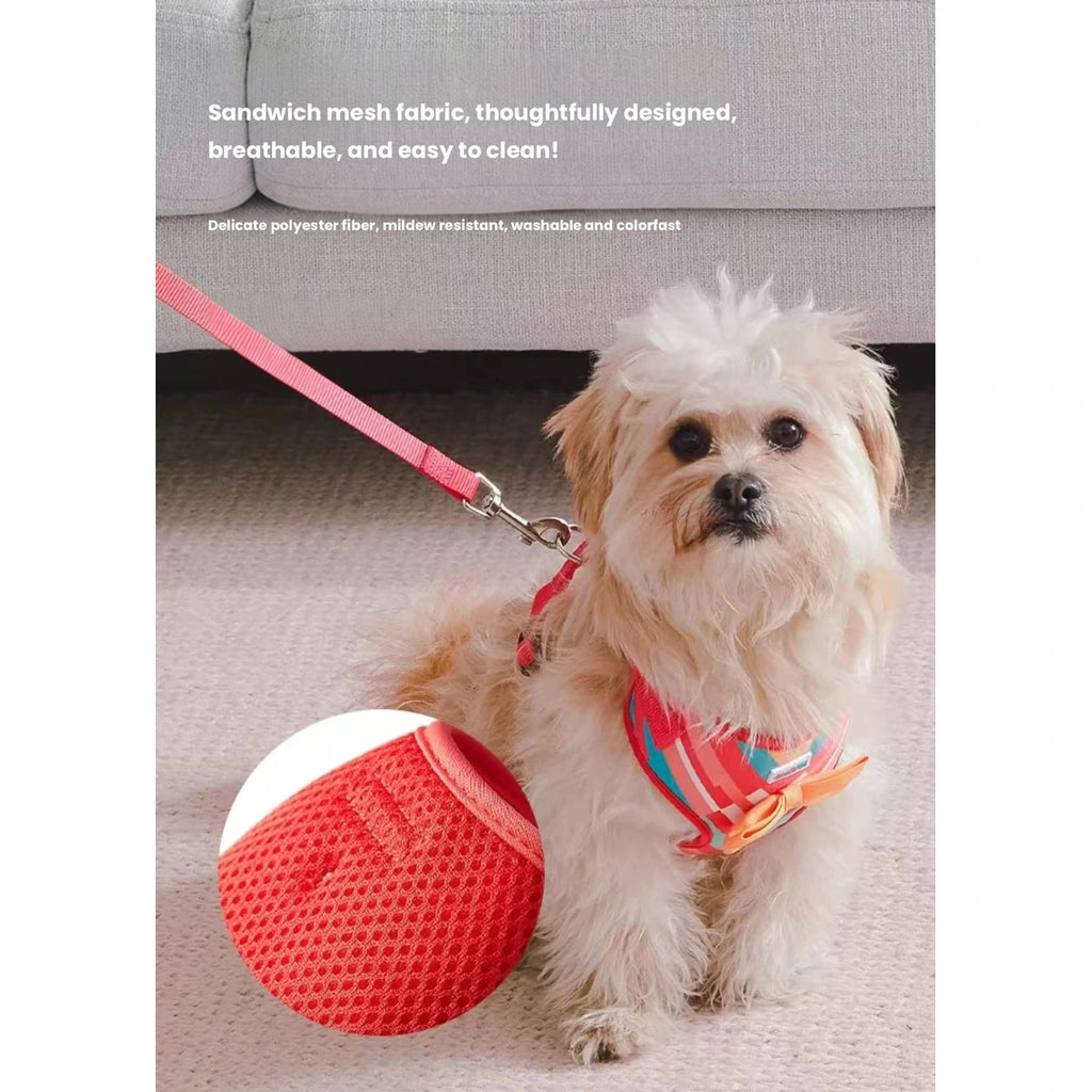 Dog sitting beside a red ball while wearing UFBemo harness
