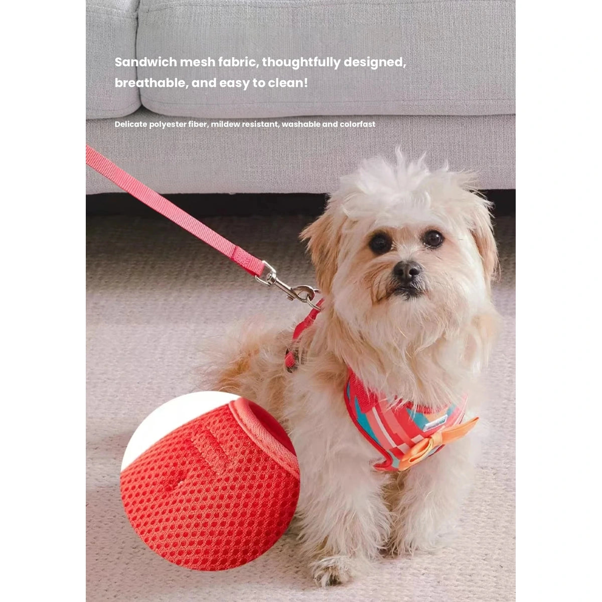 Dog sitting beside a red ball while wearing UFBemo harness