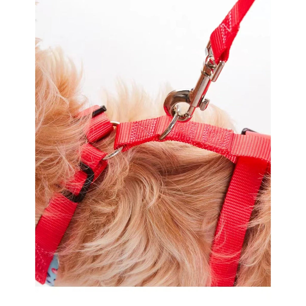 Close-up of the UFBemo harness strap and leash clip