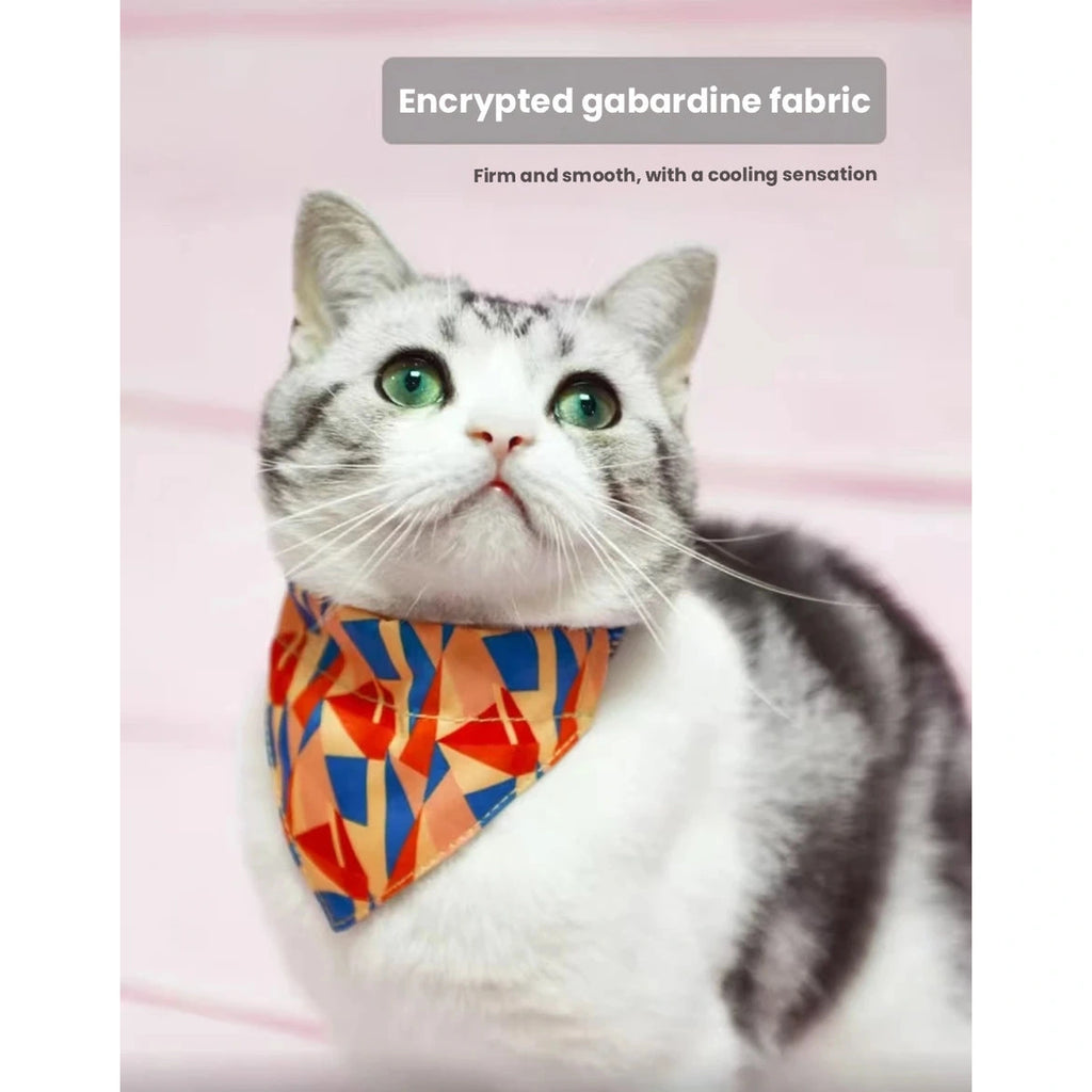 Cat wearing a bright geometric UFBemo bandana collar