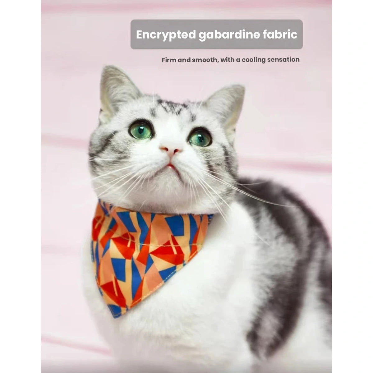 Cat wearing a bright geometric UFBemo bandana collar