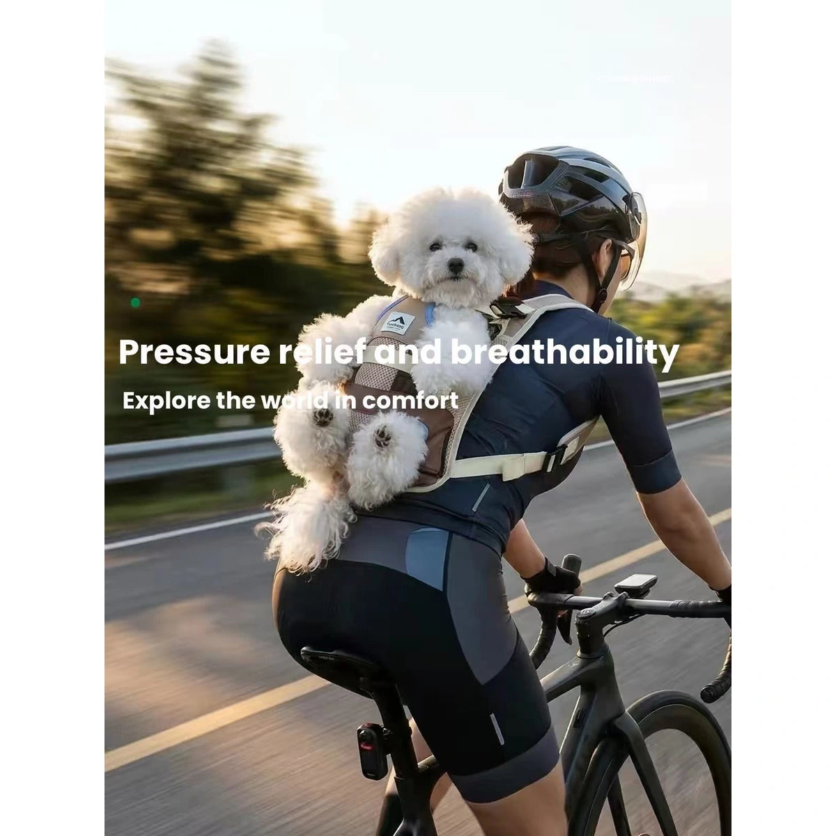 Dog carried in front pet backpack during cycling