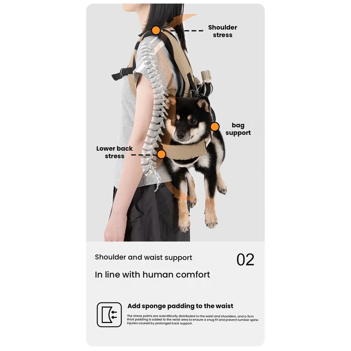 Dog in HiDREAM carrier worn on a person’s back