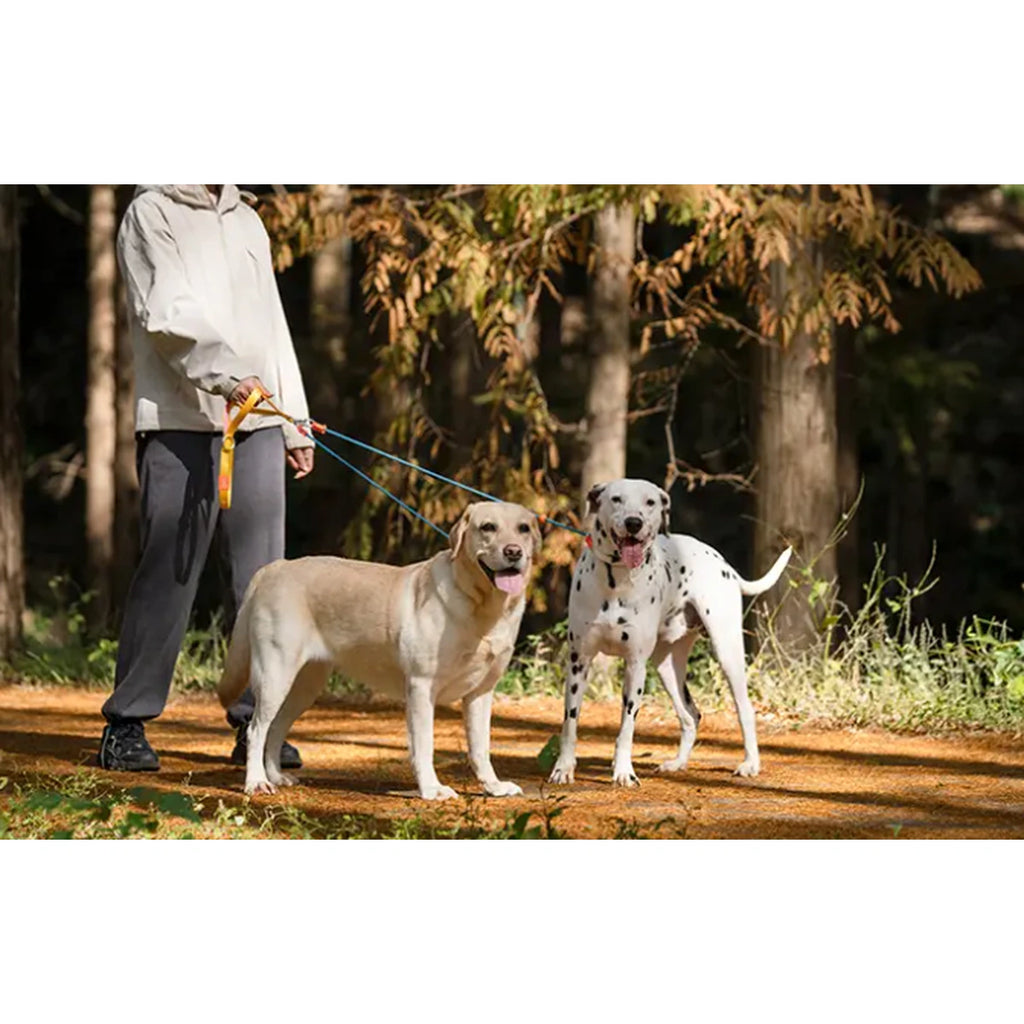 Two dogs walking on one HOWGO double leash