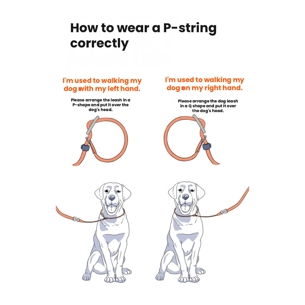HOWGO slip-loop fitting diagram for two dogs