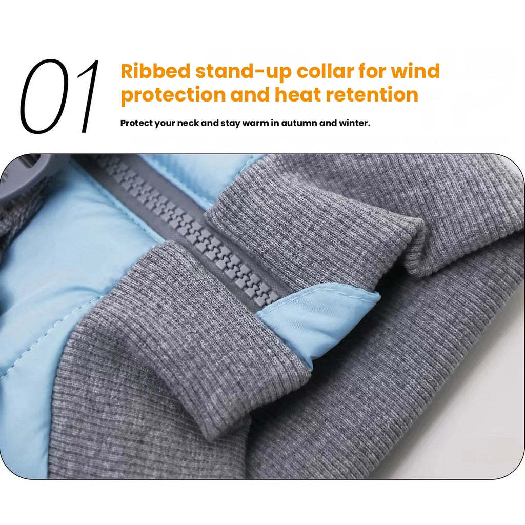 Blue dog winter coat ribbed collar detail