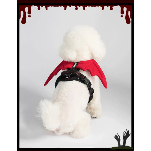 Small dog wearing DINGKE devil-wings harness, rear view