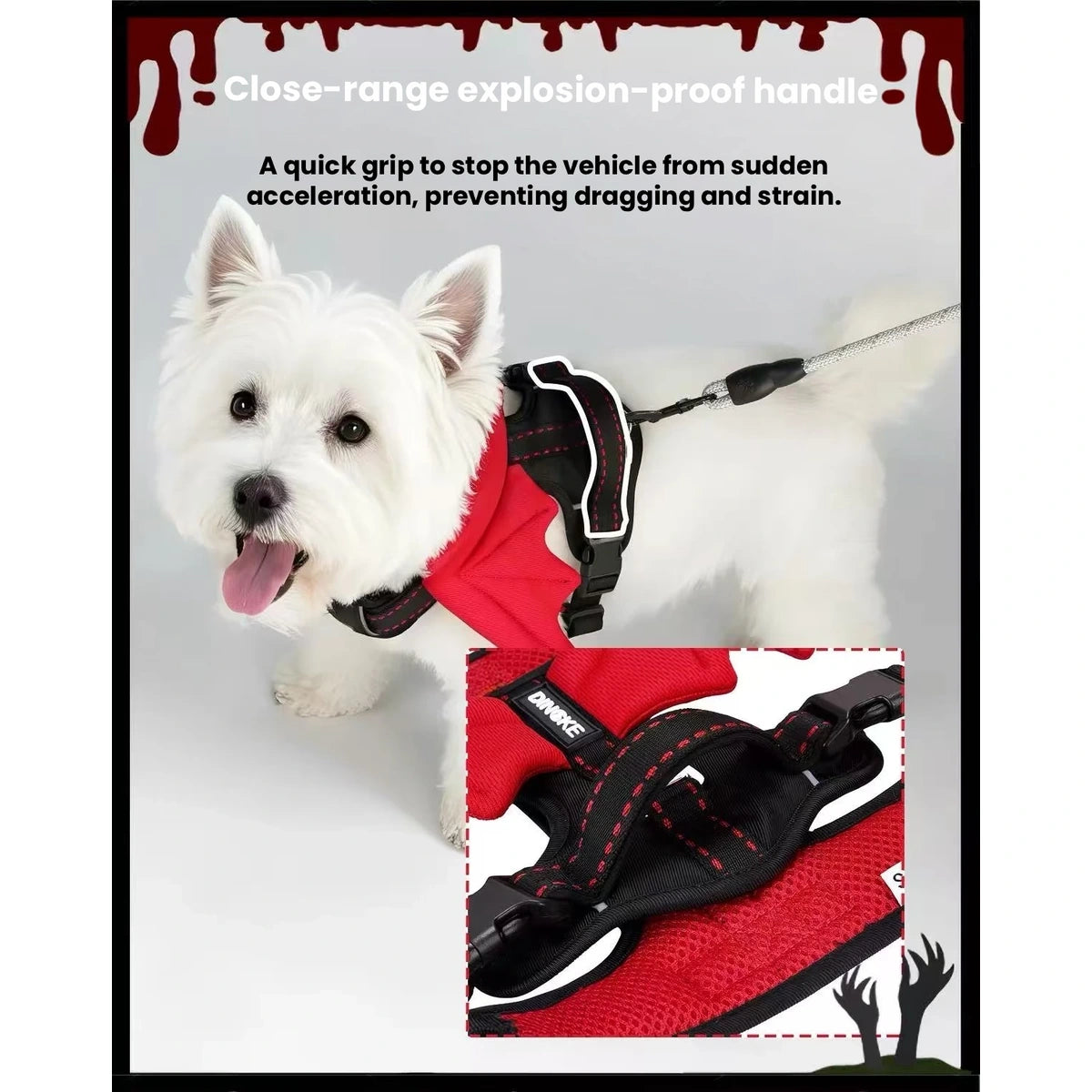 Dog wearing red devil-wing harness with leash attachment