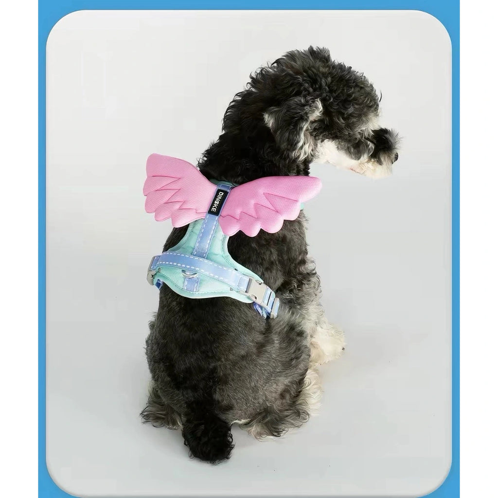 Dog wearing blue angel-wings harness, rear view