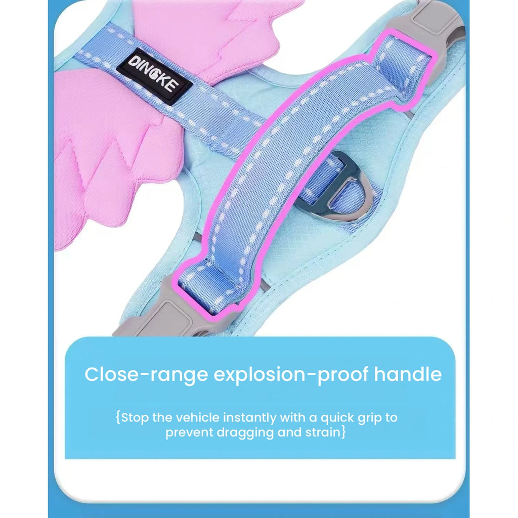 Blue angel-wing harness handle and strap detail