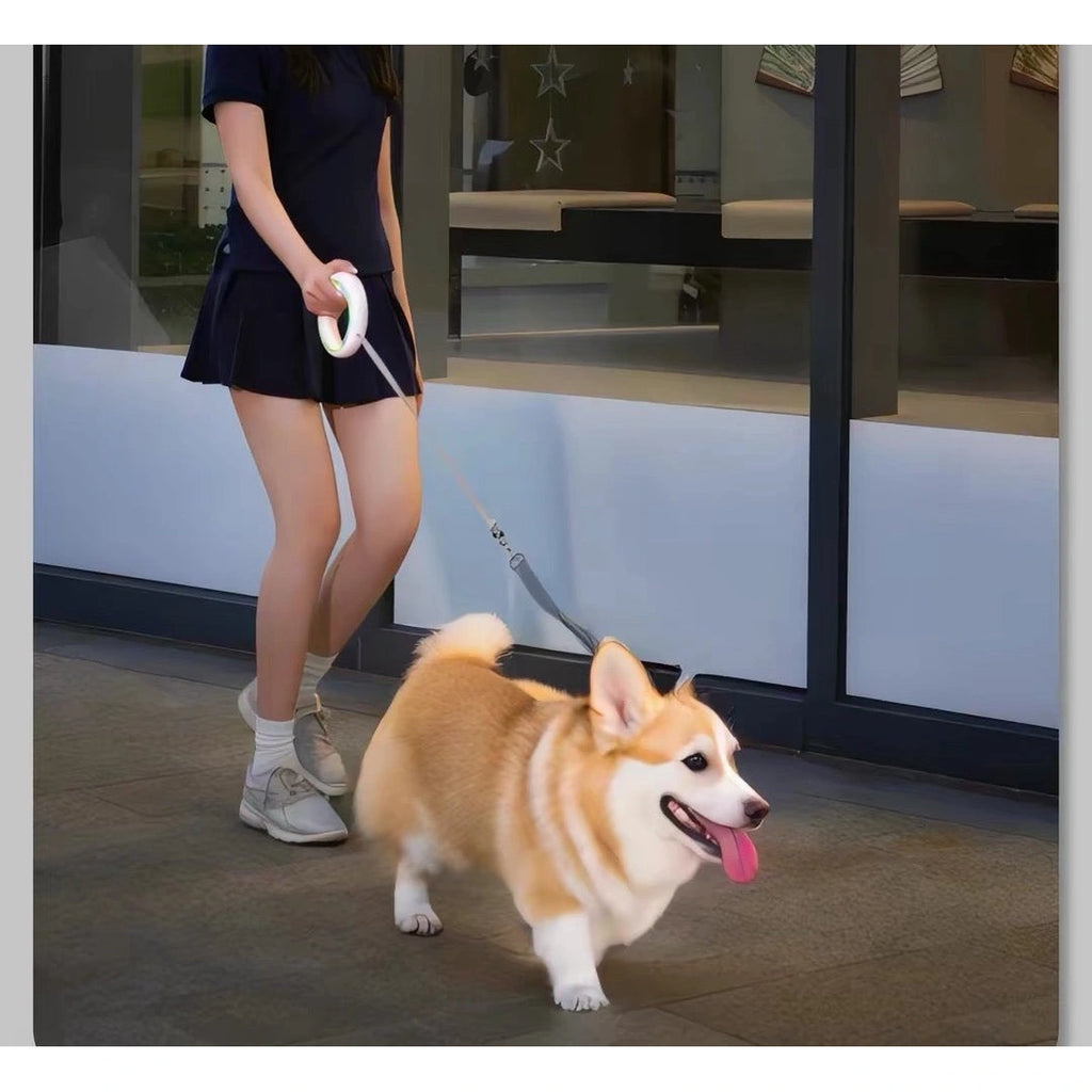 Person walking a corgi with Moestar ring-shaped leash
