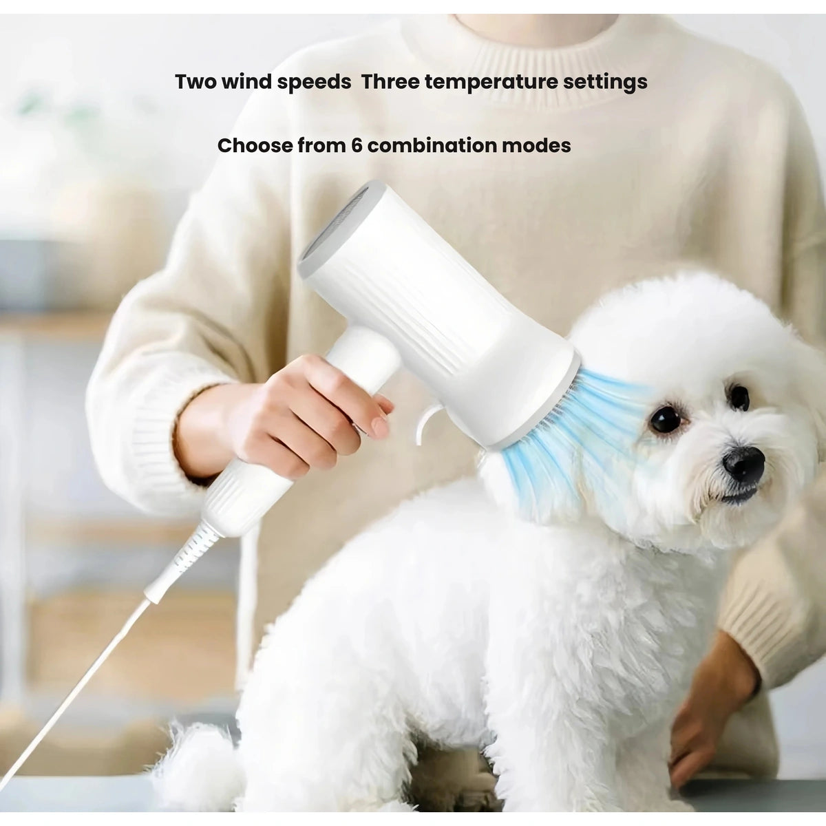Person using white dog dryer on small white dog