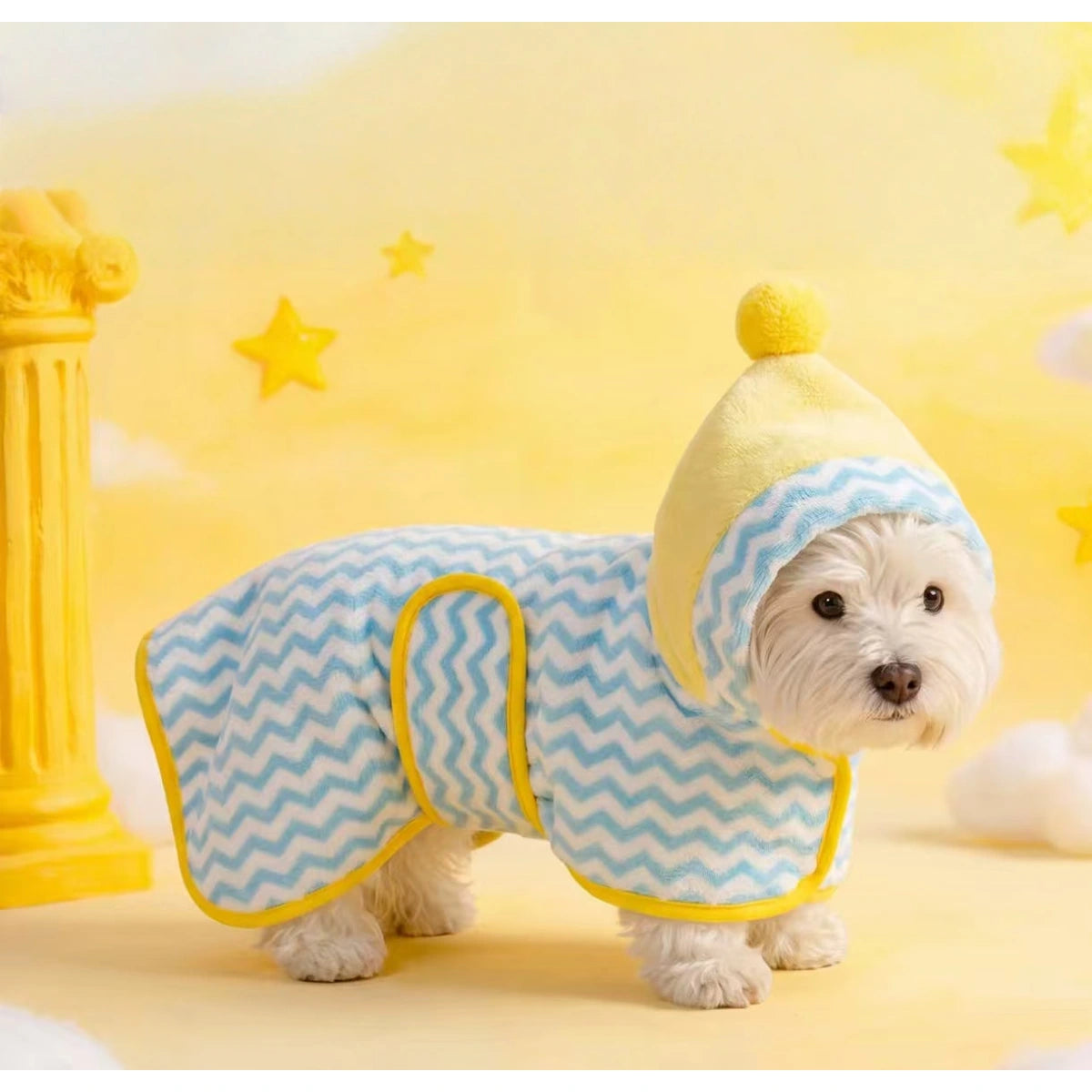Small dog wearing blue and yellow hooded pet bathrobe
