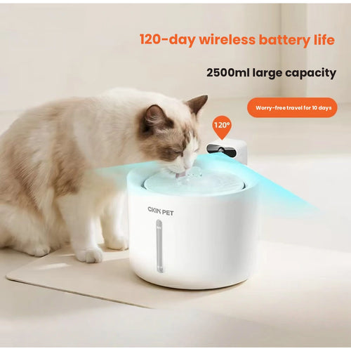 Cat drinking from white Ckin Pet fountain
