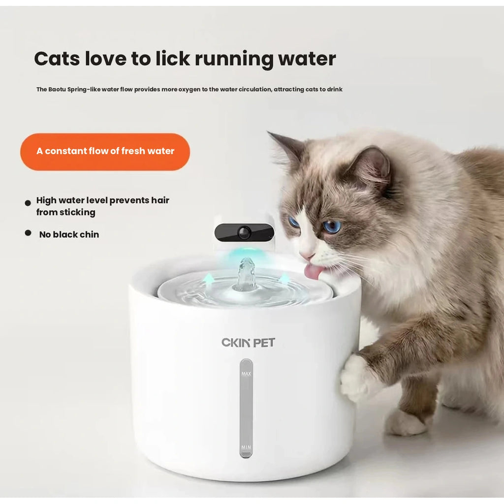 Cat at circulating water outlet on Ckin Pet fountain