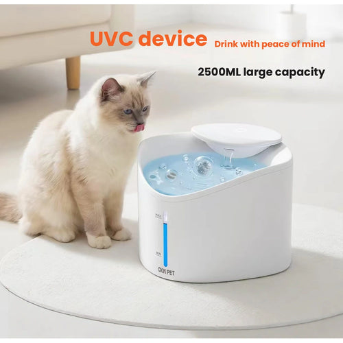Cat beside Ckin Pet UV-C water fountain
