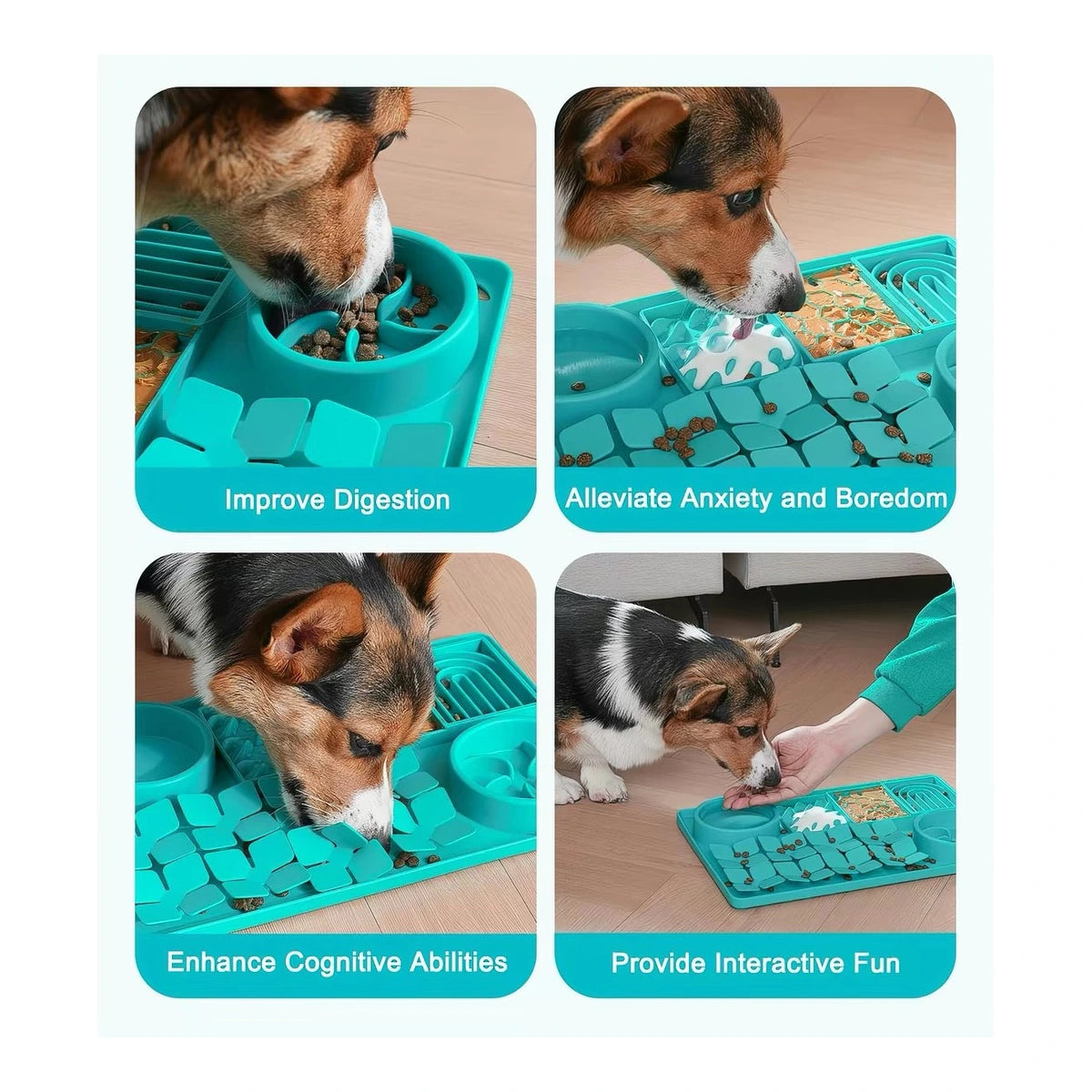 Dogs licking food from a turquoise slow feeder mat