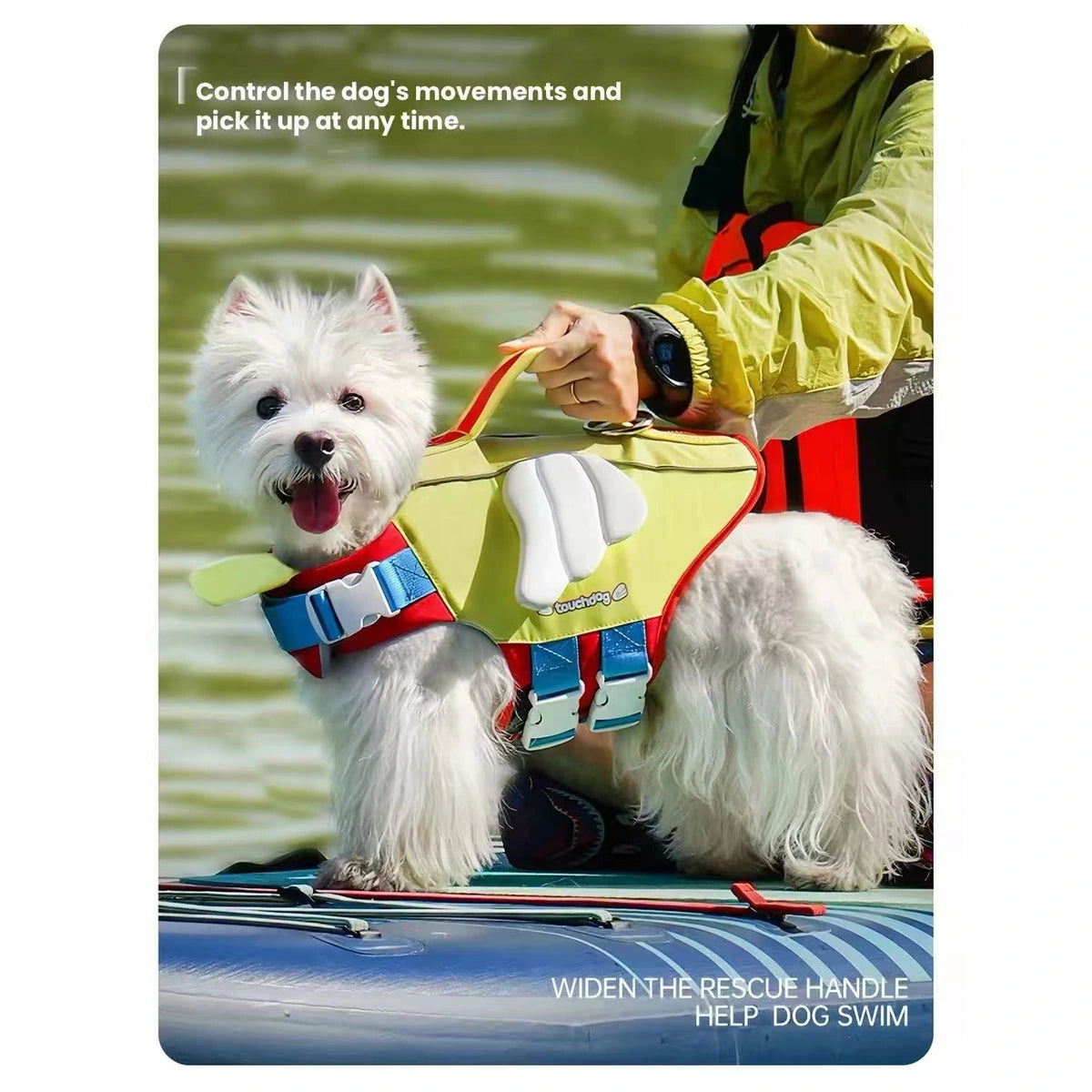 Small dog wearing a Touchdog flotation vest beside water
