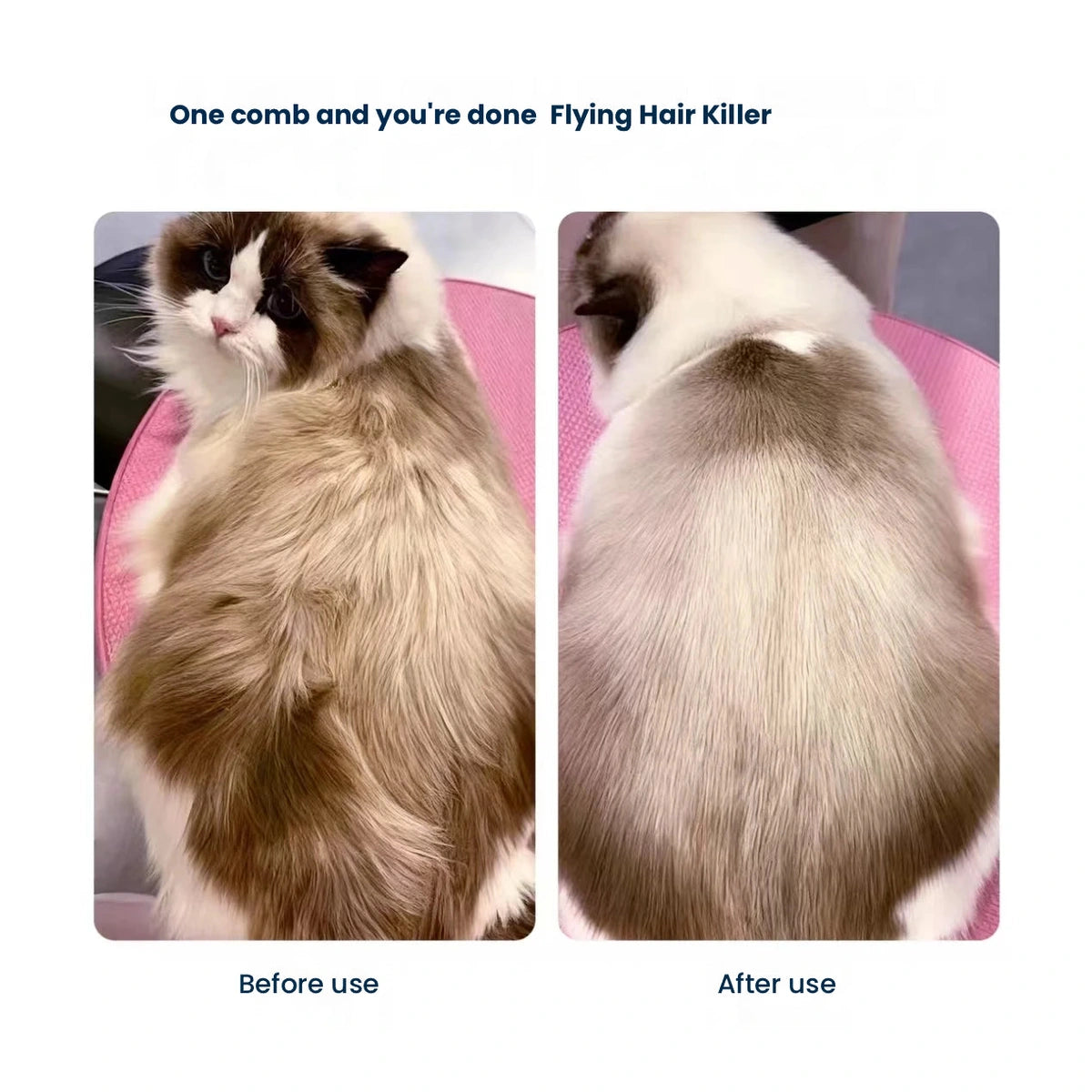 Cat coat before and after brushing with spray comb