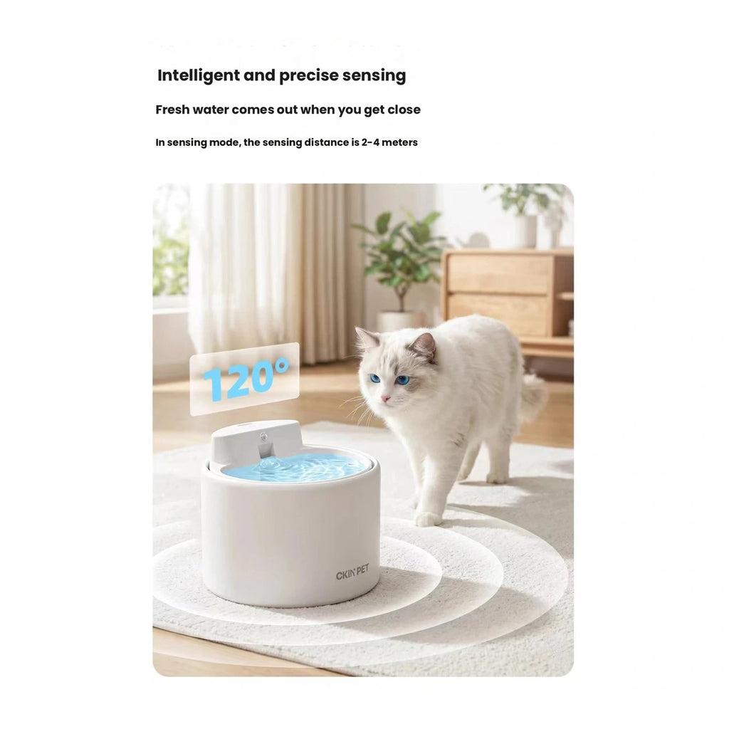 Ckin Pet fountain beside a resting cat