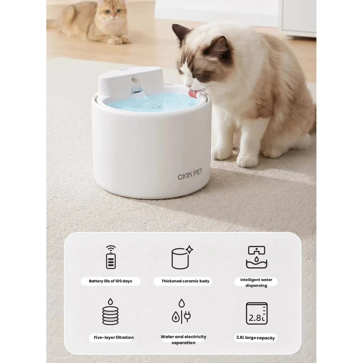 Ckin Pet fountain beside sleeping cat with noise graphic