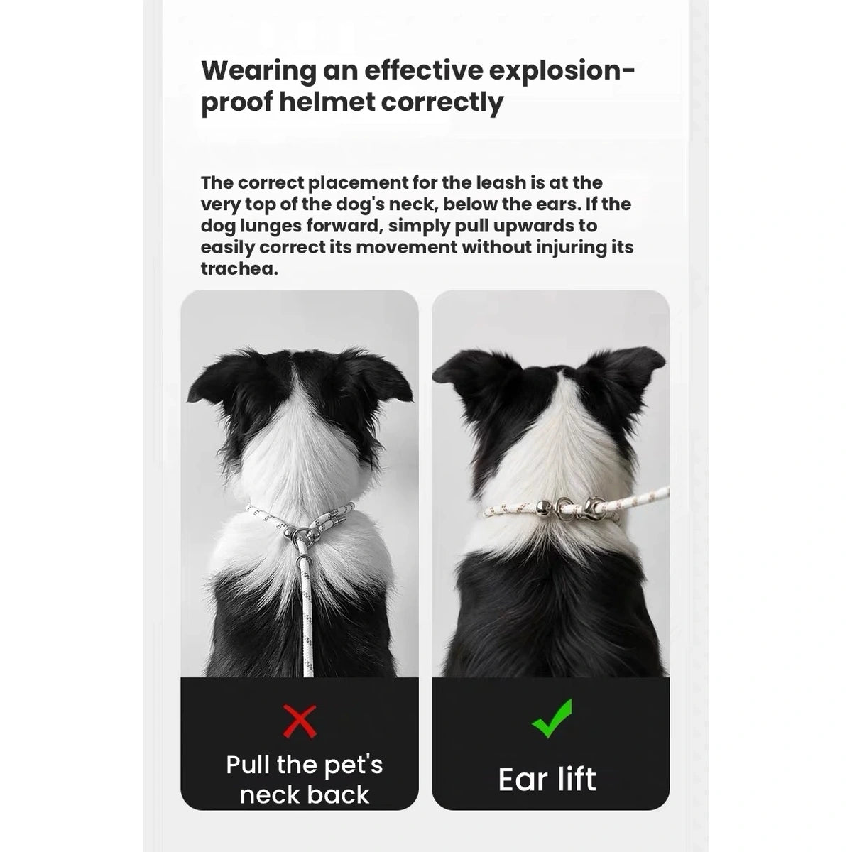 POPOCOLA double dog lead: fitting illustration for slip-style double lead