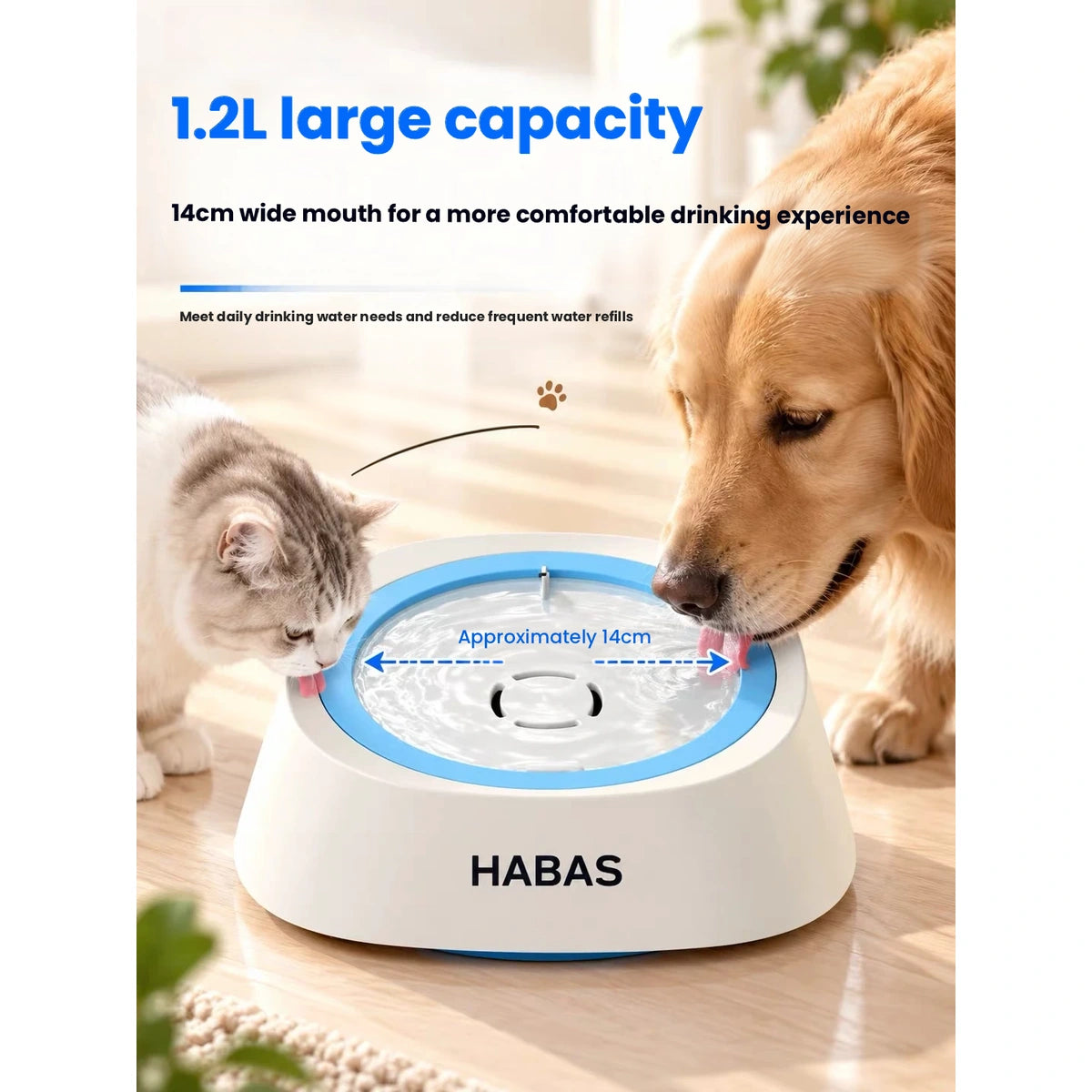 HABAS heated pet bowl: cat and dog beside HABAS water bowl