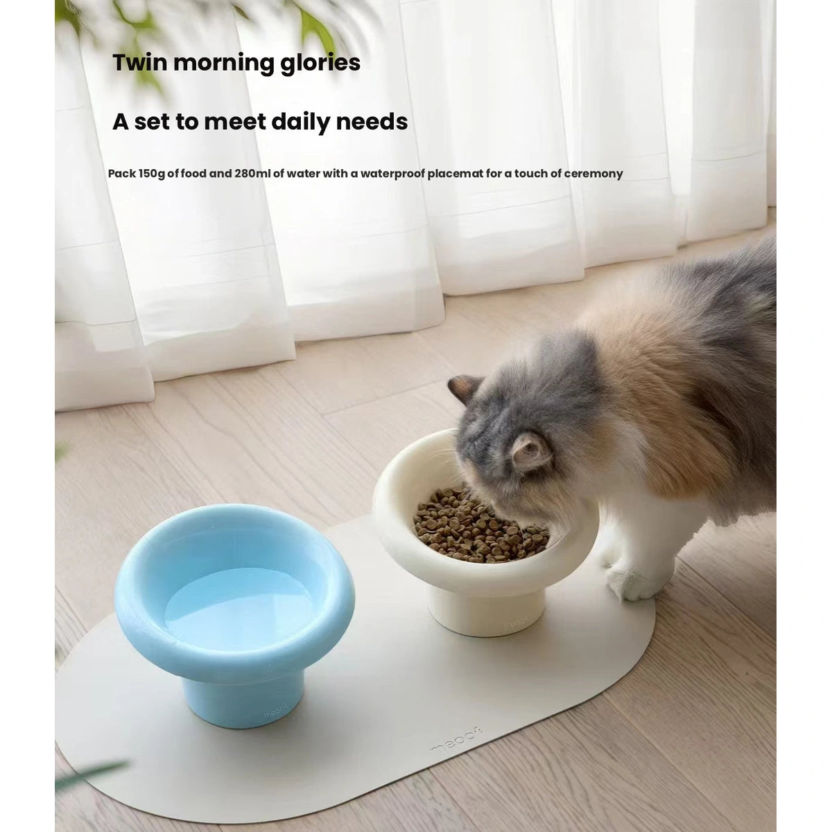 Meoof Fafa pet bowl: cat beside white raised bowl