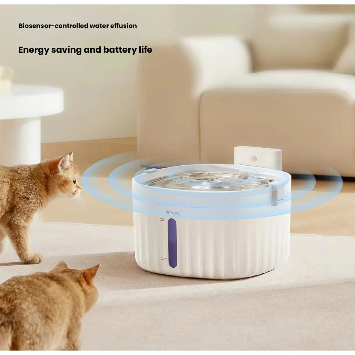 Meoof cat fountain: sensor activation illustration for fountain